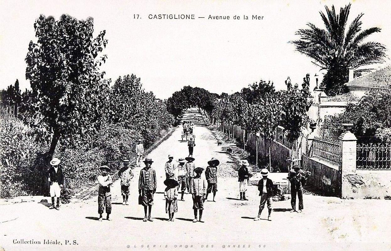 989- Castiglione - Avenue de la mer.jpg